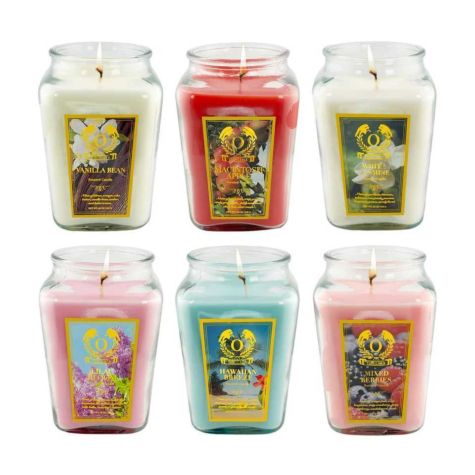 18oz Large Candle Jar Scented Candle with up to 110 Hour Burn TimePremium Plant Wax Blend for Consistent Burn C251015