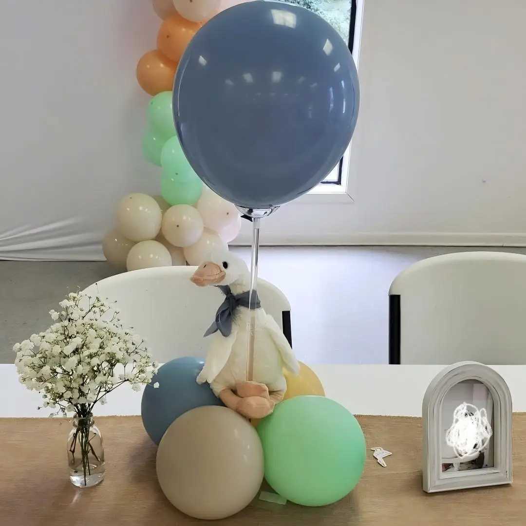 One Silly Goose Party Favors Stuffed Animal Plush Toy Baby Shower Birthday Party Gifts H260107