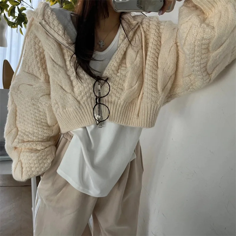Fashion Hooded Zipper Cardigan Crop Sweater Women Long Sleeve Knitted Casual Short Coats Loose Simple Autumn Winter Clothes 251013