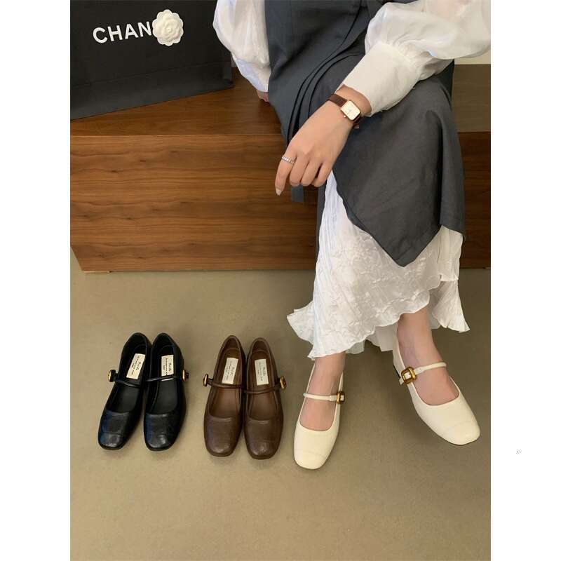 Women's 2025 New Designer Shoe - French Elegant Mary Jane Dress Shoes, Square Toe Shallow Mouth Chunky Heel for Evening Occasions