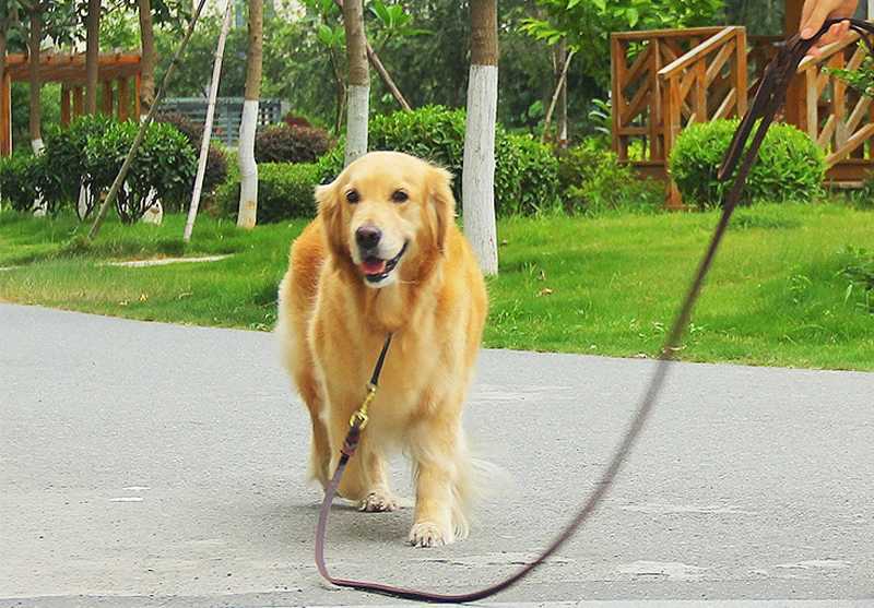 Genuine Leather Dog Leash Dogs Long Leashes Braided Pet Walking Training Leads Brown Black Colors For Medium Large Pet C251031