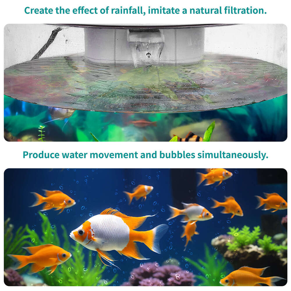 Acrylic Fish Tank with Night Light, 3 Gallon Fish Tank with Filter and Light, Self Cleaning Desktop Aquarium Starter Kit & LED Lamp, 360 View for Smal