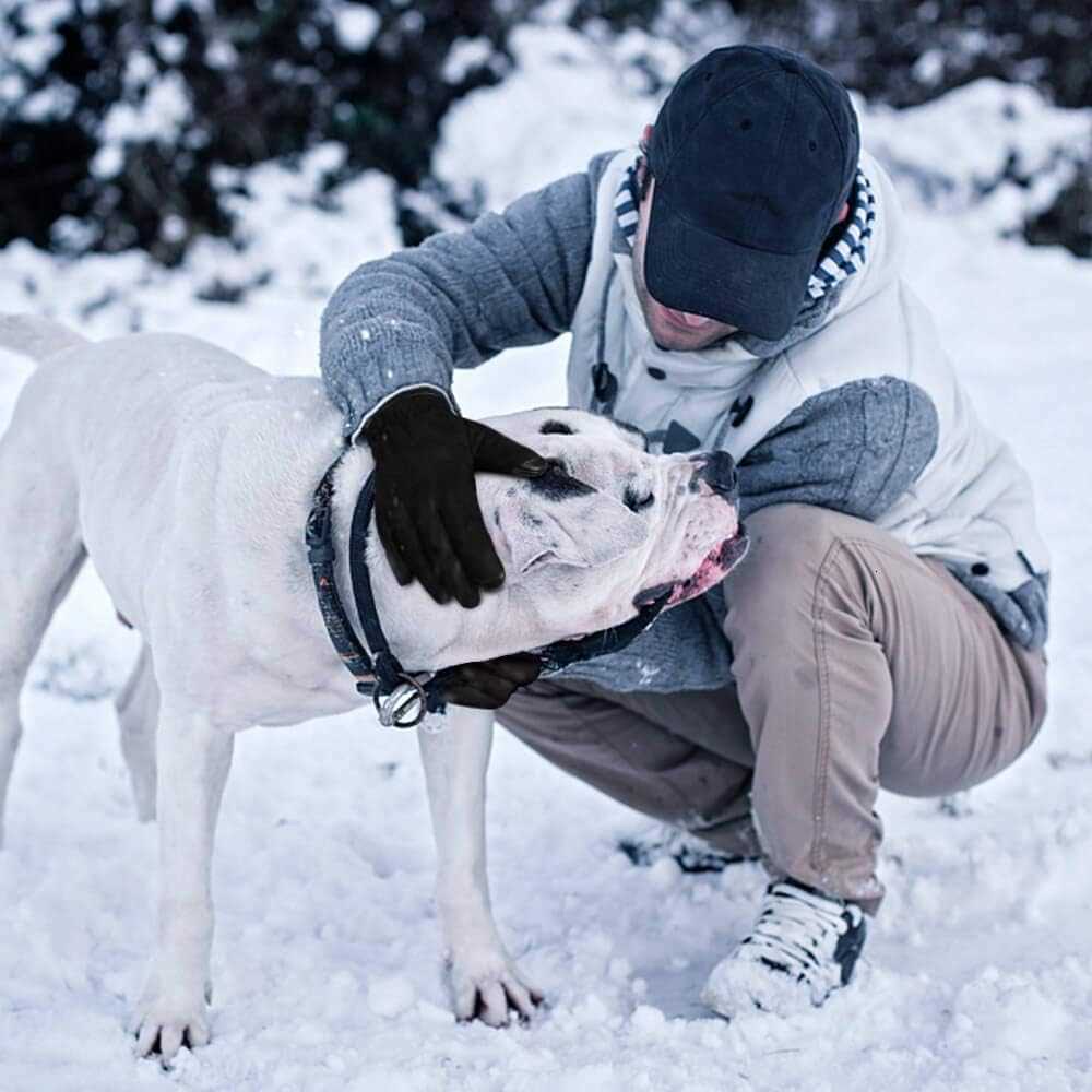 Waterproof Winter Gloves for Men Women Touchscreen Antislip Heated Glove Thermal Gifts for Dad Z251017