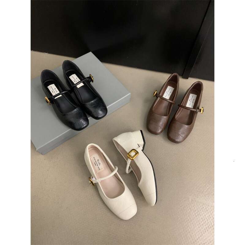 Women's 2025 New Designer Shoe - French Elegant Mary Jane Dress Shoes, Square Toe Shallow Mouth Chunky Heel for Evening Occasions