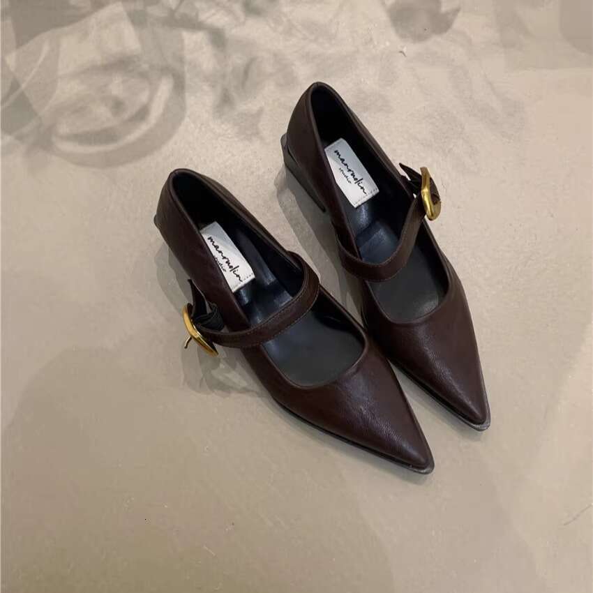 2025 New Women's Designer Shoe - French Style Elegant Mary Jane, Pointed Toe Shallow Mouth Chunky Heel for Commuter & Evening Wear