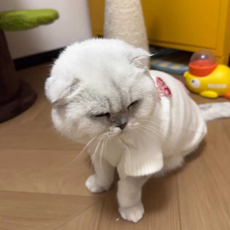 Small Dog Teddy Sweater Pet Cute CherryPrint Winter Warm Clothes Bichon Knit Pullover Maltese FruitPrint ClothingW251017