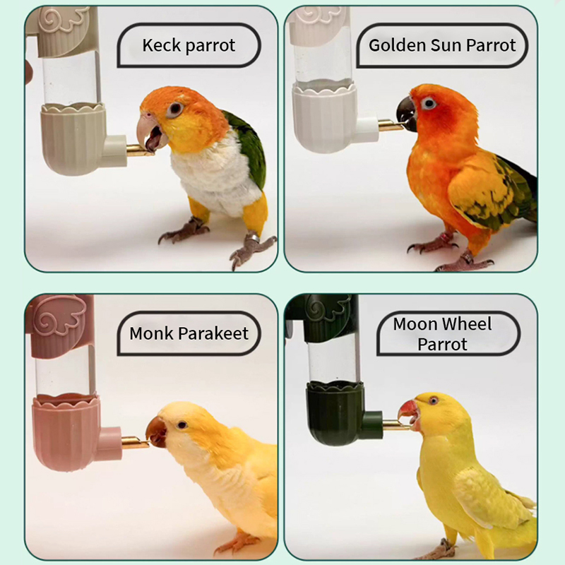 Parrot Doctor Bird Water Dispenser Bird Drinking Water Large, Medium, and Small Parrots Colliding Needle Water Bottle No Change Automatic Water Dispen