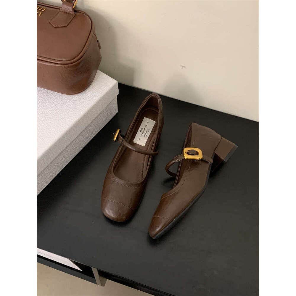 Women's 2025 New Designer Shoe - French Elegant Mary Jane Dress Shoes, Square Toe Shallow Mouth Chunky Heel for Evening Occasions