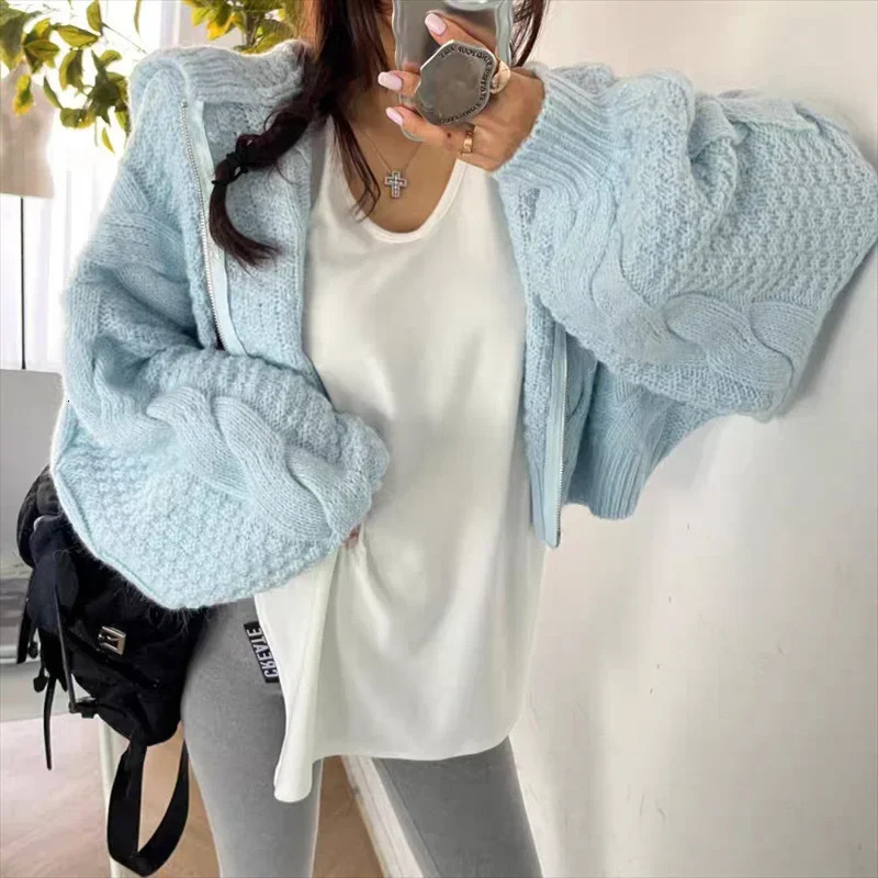 Fashion Hooded Zipper Cardigan Crop Sweater Women Long Sleeve Knitted Casual Short Coats Loose Simple Autumn Winter Clothes 251013