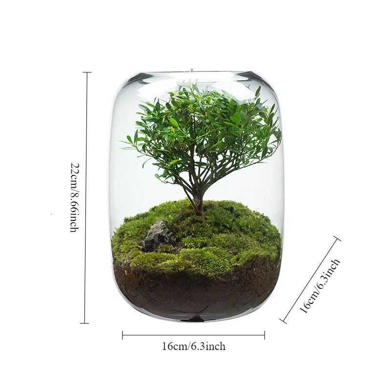 1PCS Creative DIY Eco Terrarium Glass Vase Modern Minimst Indoor Home Decor Plant Display for Living Room Desk C251017