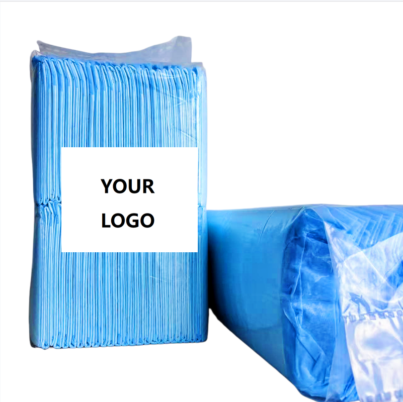 Basics Dog and Dog Pee Pads, 5-Layer Leakproof Super Absorbent, Quick-Dry Surface, Potty Training, Regular (60*60cm), 40 Count, Blue