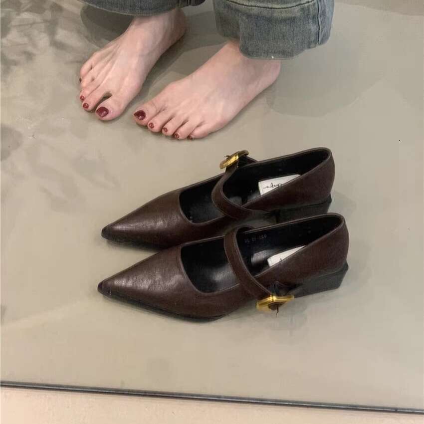 2025 New Women's Designer Shoe - French Style Elegant Mary Jane, Pointed Toe Shallow Mouth Chunky Heel for Commuter & Evening Wear