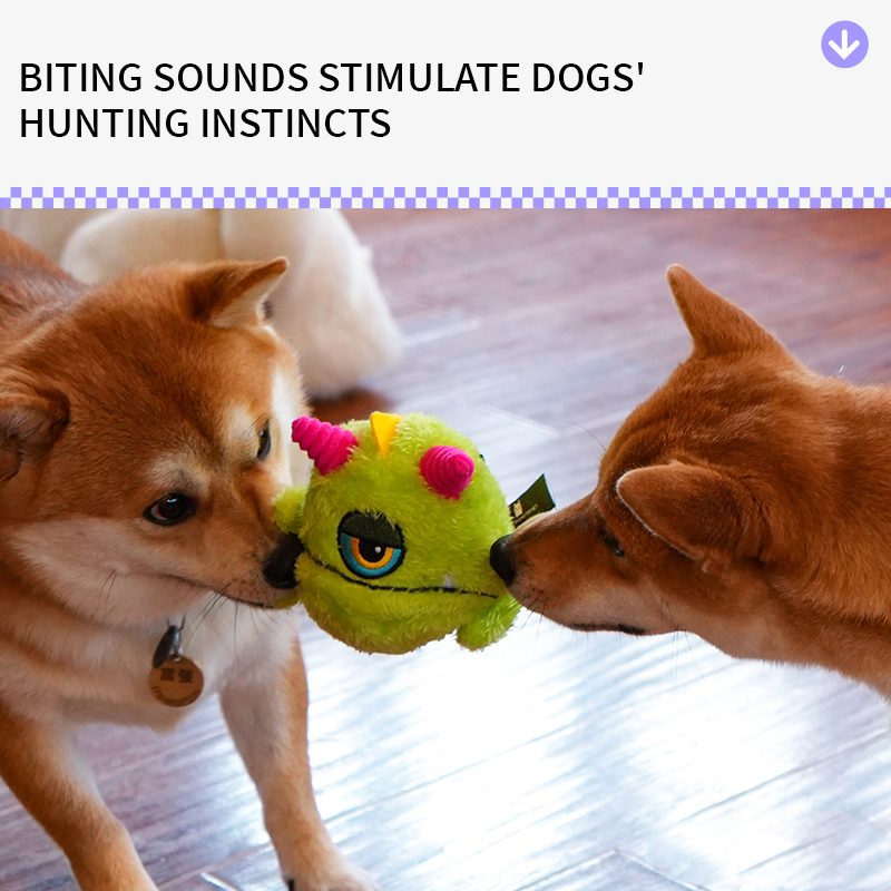 Dragon Egg Q Treasure Dog Toy, Resistant to Bite and Grind Teeth, Sound making Plush Ball for Small, Medium and Large Dogs to Relieve Bore