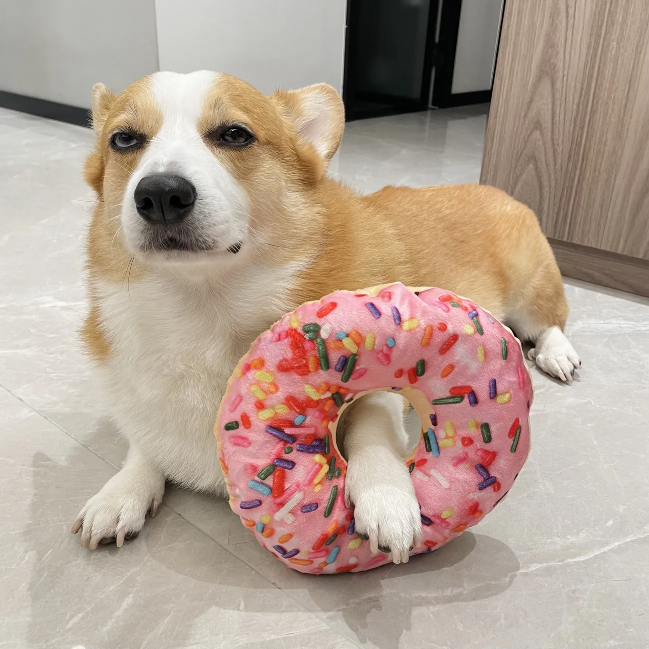 Dog Toy Sounding Pizza Ringing Paper Plush Pet Chai Dog Golden Hair Cute Companion Training corgi Molar