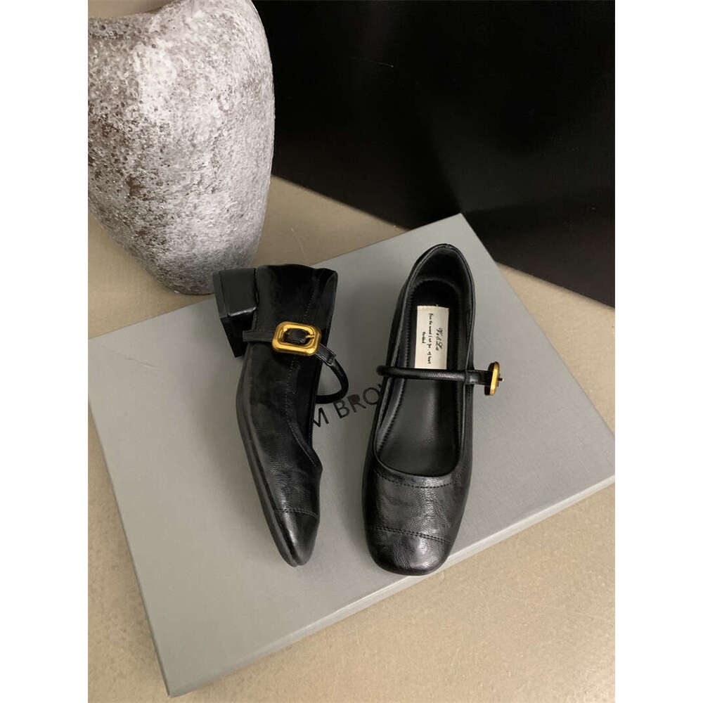 Women's 2025 New Designer Shoe - French Elegant Mary Jane Dress Shoes, Square Toe Shallow Mouth Chunky Heel for Evening Occasions