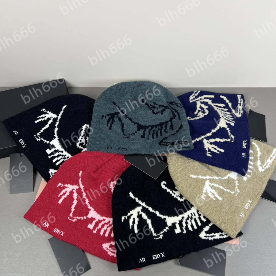 Classic designer wool luxury cashmere hat embroidered ancient bird pattern street fashion brand arc beanie autumn and winter warm ski hats
