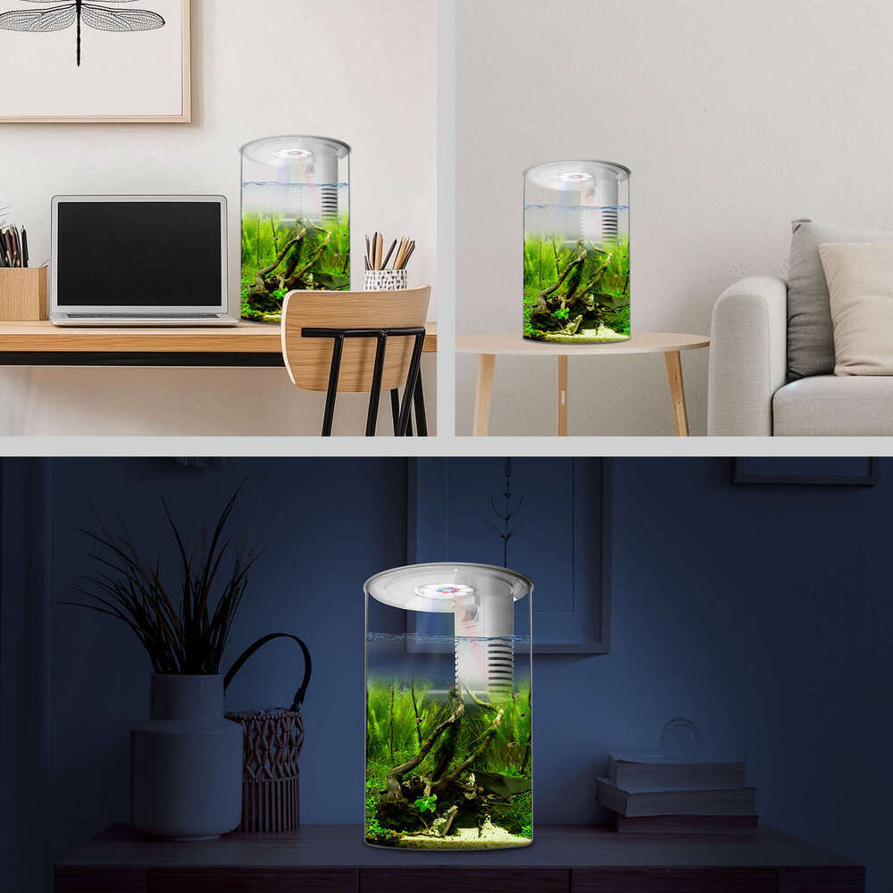 Acrylic Fish Tank with Night Light, 3 Gallon Fish Tank with Filter and Light, Self Cleaning Desktop Aquarium Starter Kit & LED Lamp, 360 View for Smal