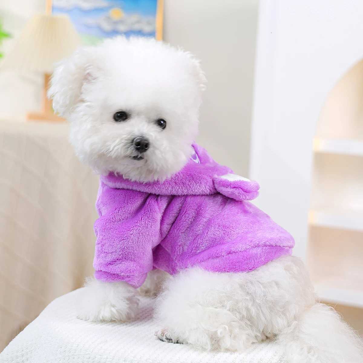 Dog Clothes Autumn and Winter Cute Twolegged Transformation Pet Sweater Purple Small Dog Happy Dog ThingW251017