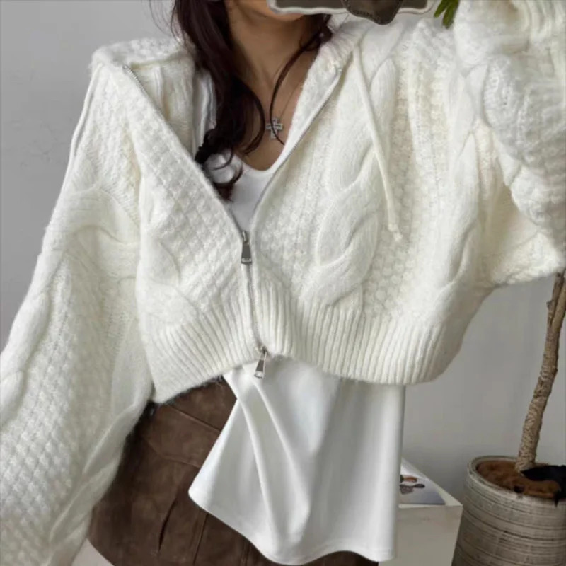 Fashion Hooded Zipper Cardigan Crop Sweater Women Long Sleeve Knitted Casual Short Coats Loose Simple Autumn Winter Clothes 251013