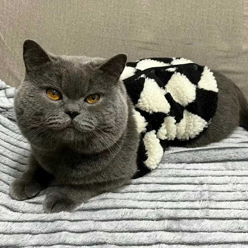 Fashion Sphynx Cat Sweater Cardigan for Cats Gotas Winter Warm Pet Fleece Clothes Garfield Katten Dog Jackets mascotas ClothingW251017