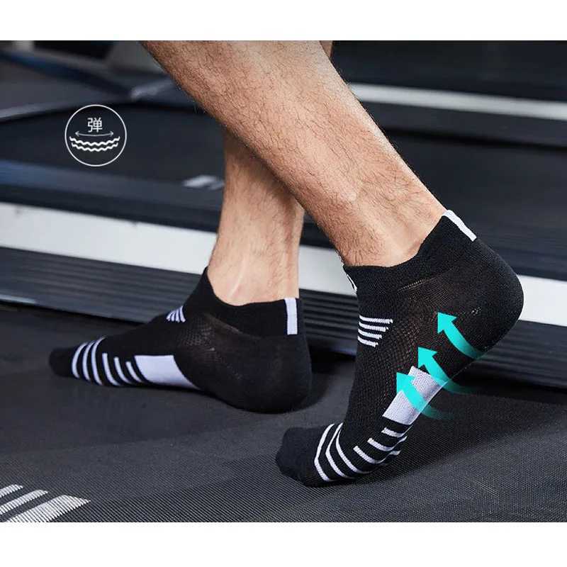 Spring Autumn Mens Sport Socks Breathable Cotton Cycling Basketball Football Soccer Running Trekking Travel Socks EU3944 C251017