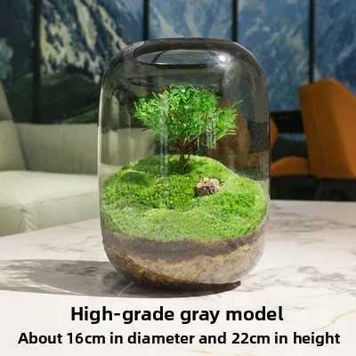 1PCS Creative DIY Eco Terrarium Glass Vase Modern Minimst Indoor Home Decor Plant Display for Living Room Desk C251017
