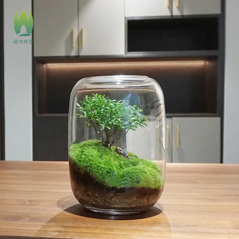 1PCS Creative DIY Eco Terrarium Glass Vase Modern Minimst Indoor Home Decor Plant Display for Living Room Desk C251017