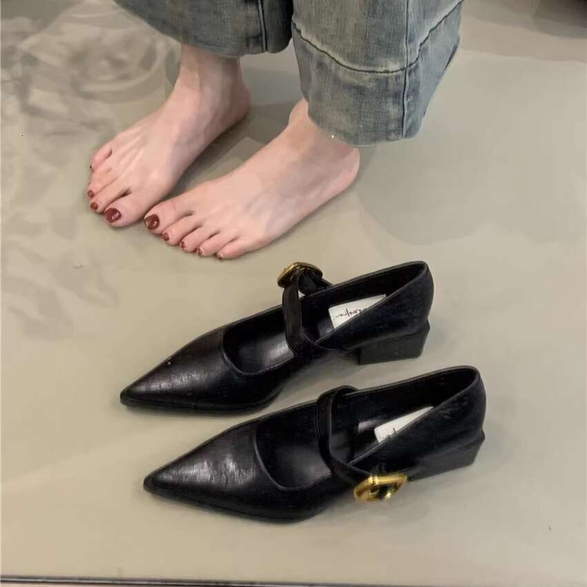 2025 New Women's Designer Shoe - French Style Elegant Mary Jane, Pointed Toe Shallow Mouth Chunky Heel for Commuter & Evening Wear
