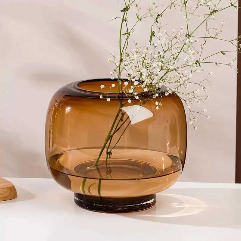 Ins Style Circular Large Belly Glass Vase Simple and Creative Hydroponic Flower Container Living Room Flower C251017
