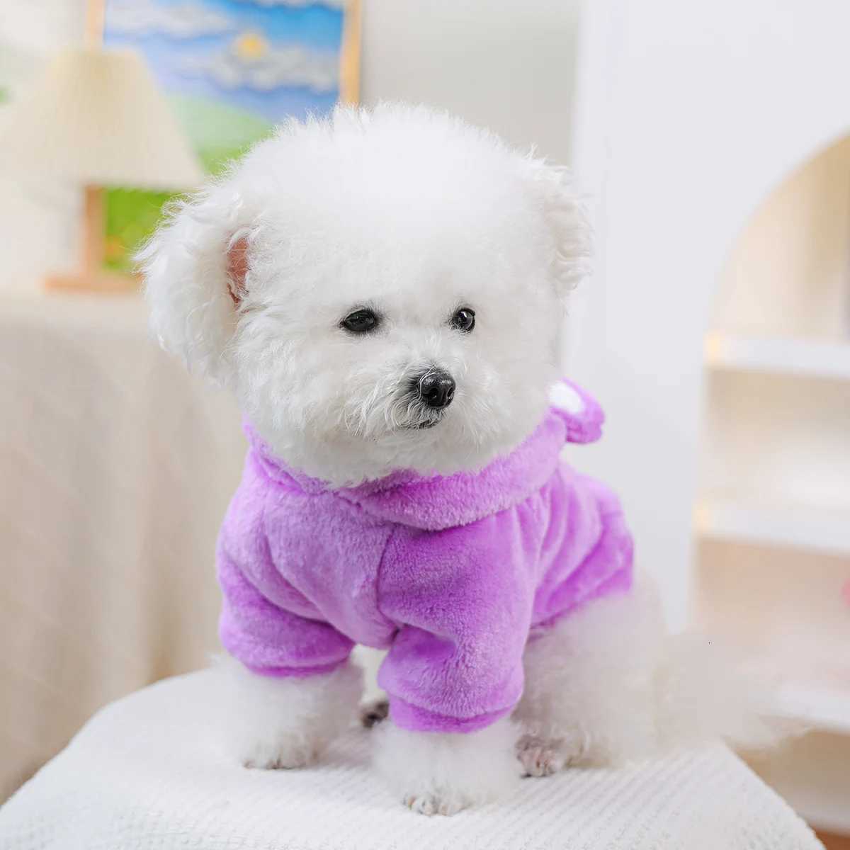 Dog Clothes Autumn and Winter Cute Twolegged Transformation Pet Sweater Purple Small Dog Happy Dog ThingW251017