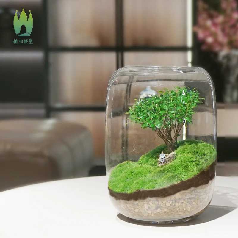1PCS Creative DIY Eco Terrarium Glass Vase Modern Minimst Indoor Home Decor Plant Display for Living Room Desk C251017