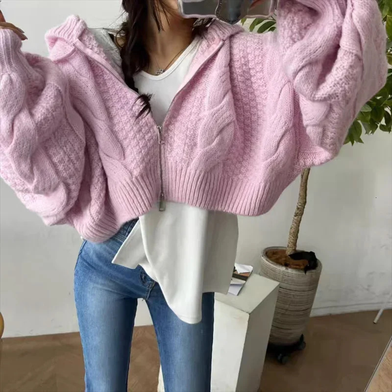 Fashion Hooded Zipper Cardigan Crop Sweater Women Long Sleeve Knitted Casual Short Coats Loose Simple Autumn Winter Clothes 251013