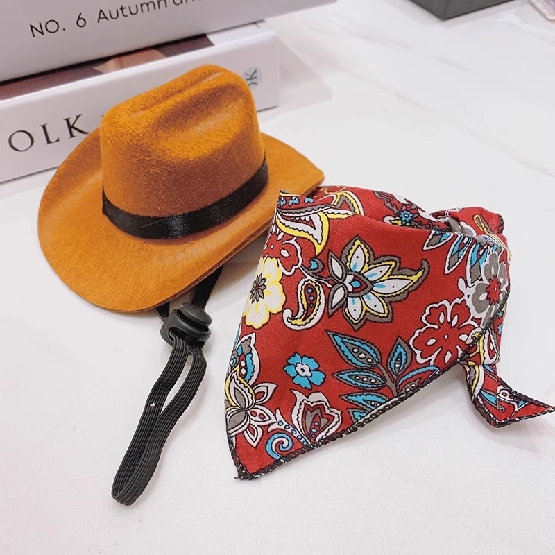 Western cowboy hat cat hat cool dog small dog accessories headwear short and funny pet photography props