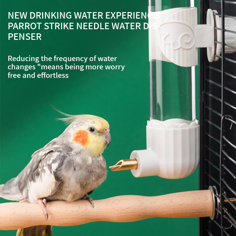 Parrot Doctor Bird Water Dispenser Bird Drinking Water Large, Medium, and Small Parrots Colliding Needle Water Bottle No Change Automatic Water Dispen