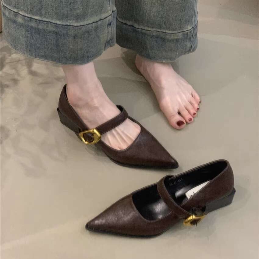 2025 New Women's Designer Shoe - French Style Elegant Mary Jane, Pointed Toe Shallow Mouth Chunky Heel for Commuter & Evening Wear