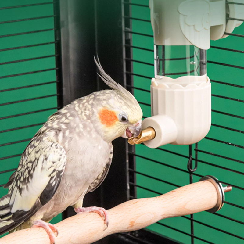 Parrot Doctor Bird Water Dispenser Bird Drinking Water Large, Medium, and Small Parrots Colliding Needle Water Bottle No Change Automatic Water Dispen
