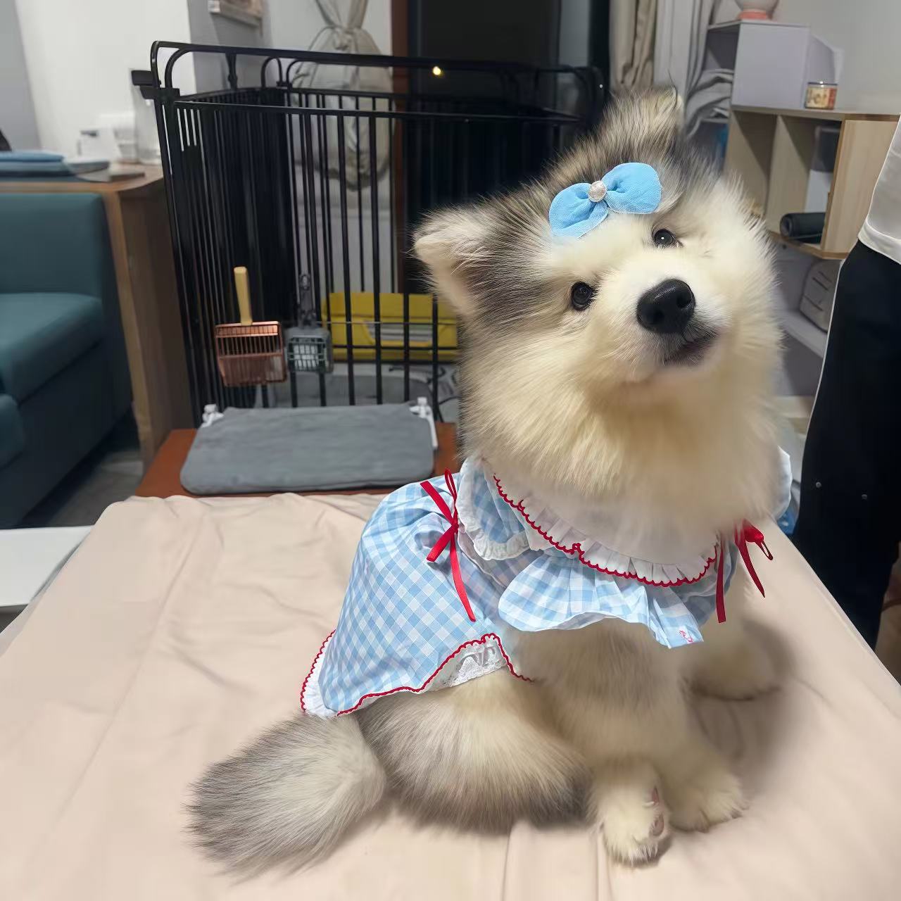 T1672 Dog Clothes for Small and Medium Dogs Retro Plaid Bowknot Navy Collar Shirt Anti-shedding Dress Cat Vest