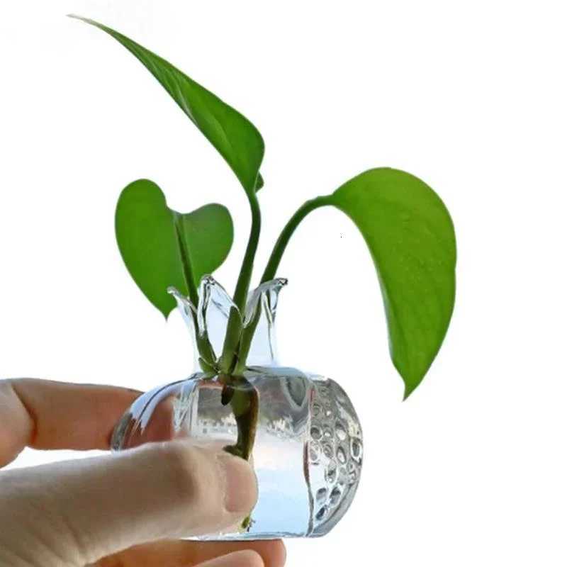 Creative Simple Small Pomegranate Glass Vase Desktop Hydroponic Lovely Hydroponic Flower Ornament Home Decor Vase Transparent C251017