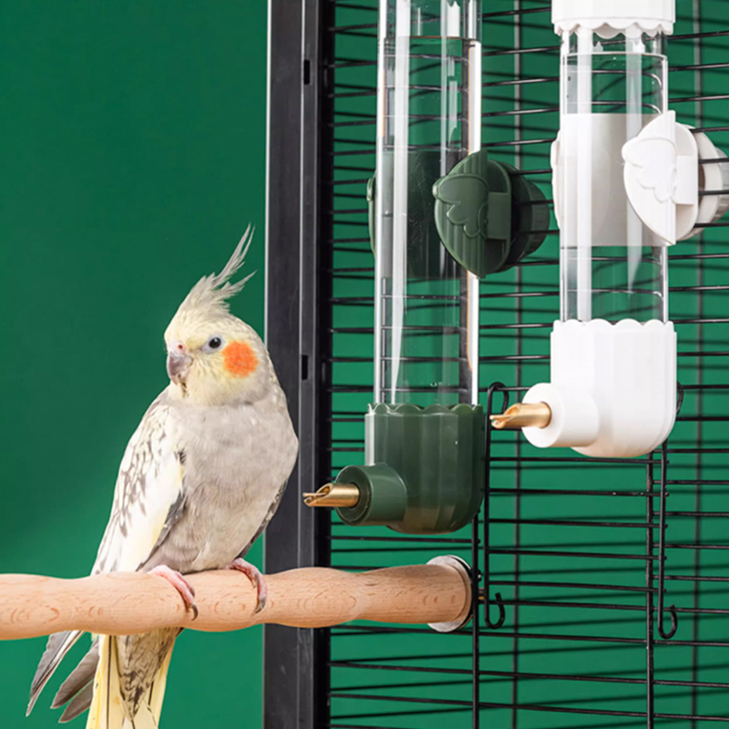 Parrot Doctor Bird Water Dispenser Bird Drinking Water Large, Medium, and Small Parrots Colliding Needle Water Bottle No Change Automatic Water Dispen