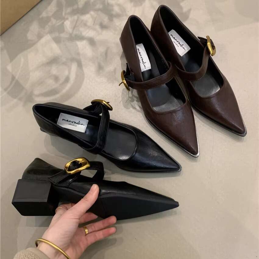 2025 New Women's Designer Shoe - French Style Elegant Mary Jane, Pointed Toe Shallow Mouth Chunky Heel for Commuter & Evening Wear