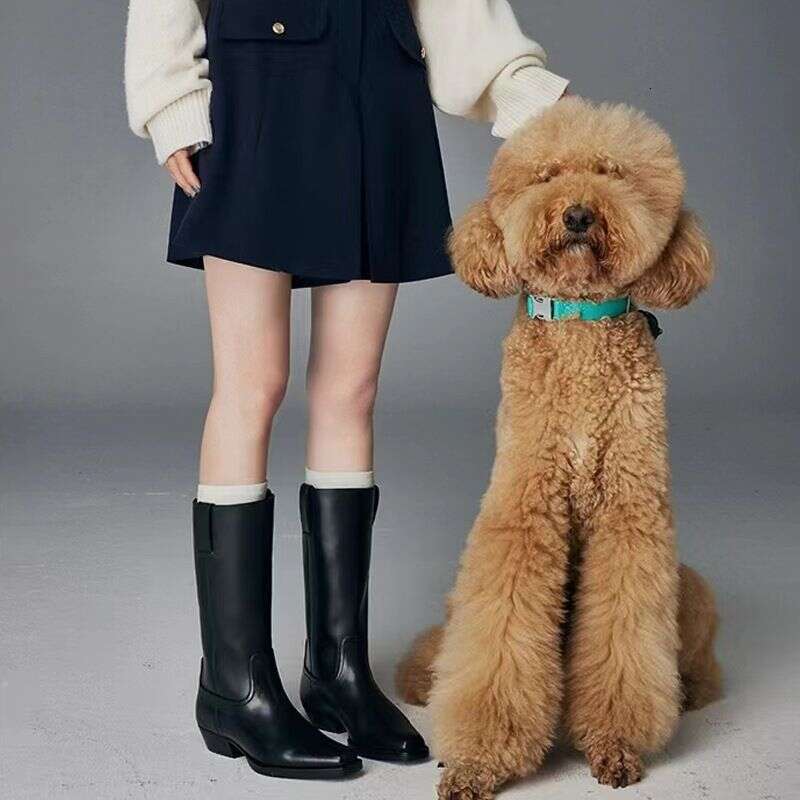 Grape Mom 2023 Autumn/Winter New Style Small Square Headed Heel Thick Sole Mid Boots, Knee Length Knight Boots