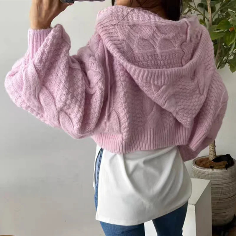 Fashion Hooded Zipper Cardigan Crop Sweater Women Long Sleeve Knitted Casual Short Coats Loose Simple Autumn Winter Clothes 251013