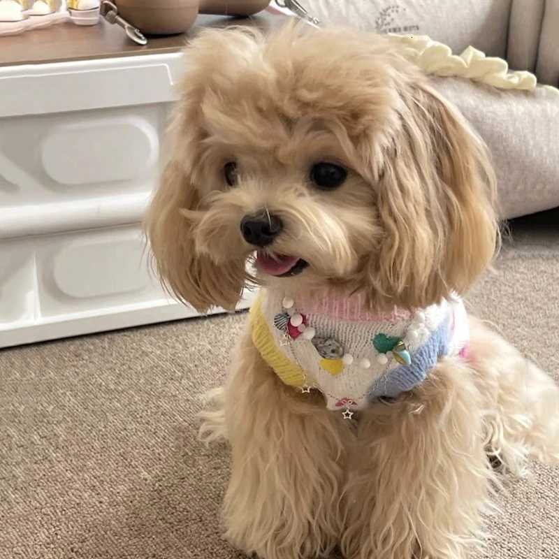HeartPattern Embroidered Dog Sweater Teddy Sweet Clothes Bichon Winter Knit Pullover Yorkshire Warm Sleeveless PulloverW251017