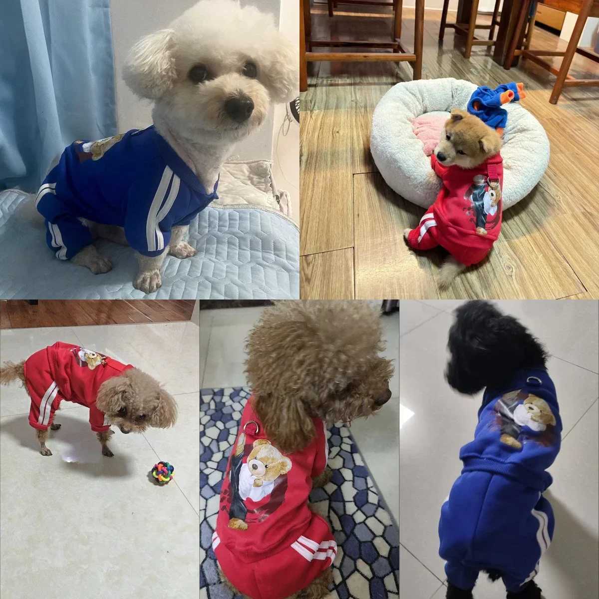 Cute Bear Jumpsuit Autumn Winter Dog Clothes Warm Pet Clothes Dog Hoodies Sweatshirt for Puppy Cat Yorkie Clothing Dog CoatsW251017