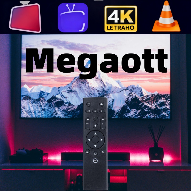Mega 4K FHD Remote Controller For Smart TV Andorid TV Box Set up Box