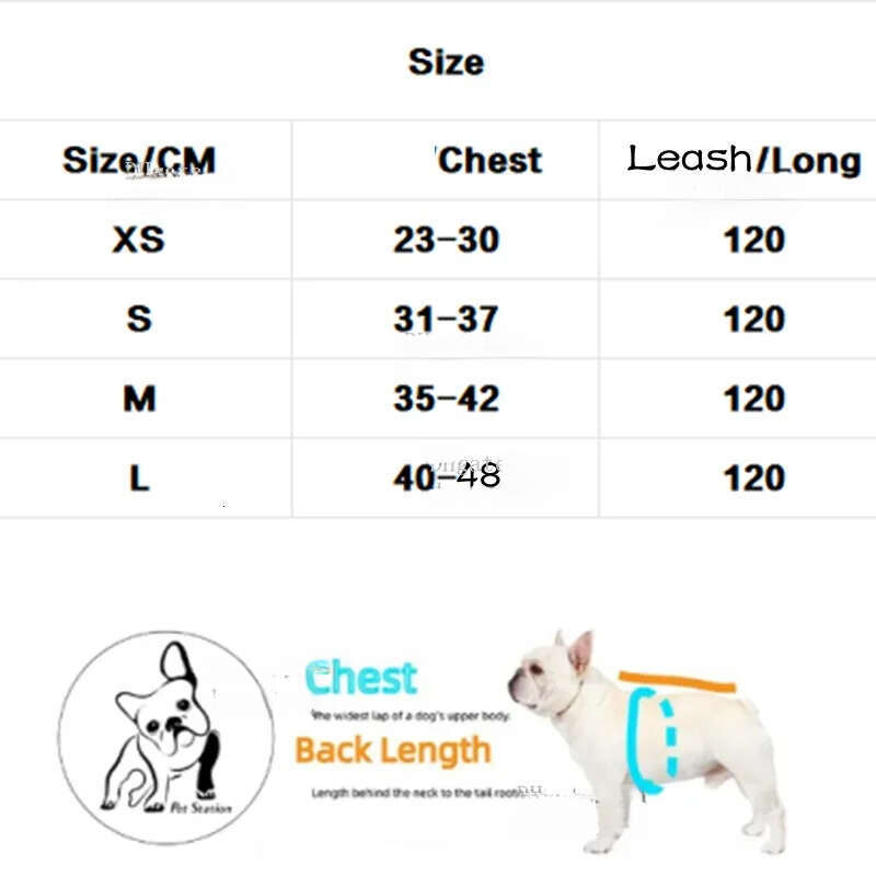 2025 new Designer Leash Set, Step-in Air Dog All Weather Mesh, No Pull Harness for Small Dogs, Cat Secure with Hook & Loop Fastener, Buckle,