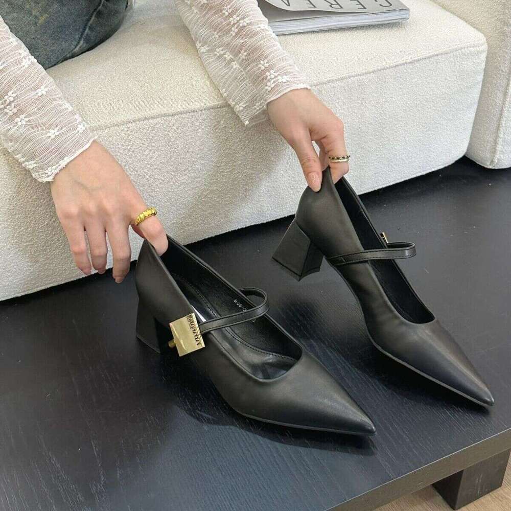 Chunky Heel French Pointed Toe Single for Women 2025 New Spring Summer Winter Mary Designer Shoe Jane Leather Shoes