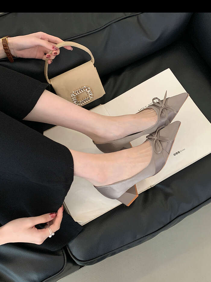 French Style Pointed Toe Single Shoes for Women, Chunky Heel 2025 New Designer Shoe Gentle Style, Elegant Bowknot Mid-Heel Shoes, High Heels