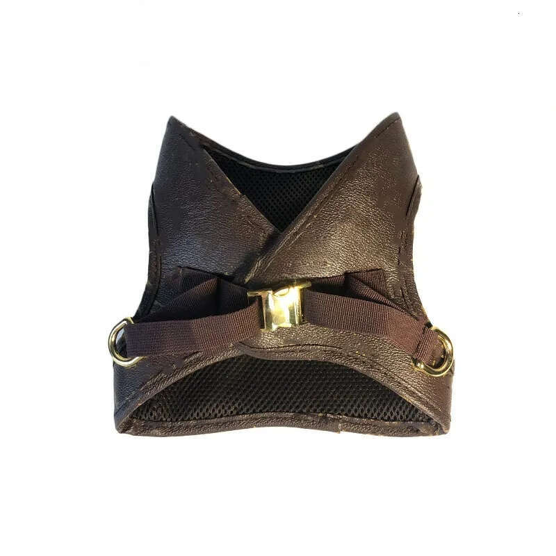 2025 new Designer Leash Set, Step-in Air Dog All Weather Mesh, No Pull Harness for Small Dogs, Cat Secure with Hook & Loop Fastener, Buckle,