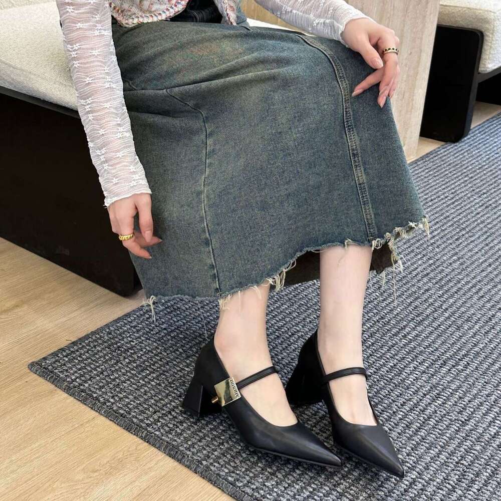 Chunky Heel French Pointed Toe Single for Women 2025 New Spring Summer Winter Mary Designer Shoe Jane Leather Shoes